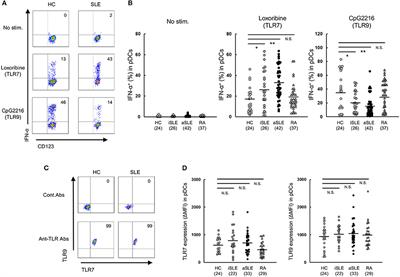 Up-Regulation of TLR7-Mediated IFN-α Production by Plasmacytoid Dendritic Cells in Patients With Systemic Lupus Erythematosus